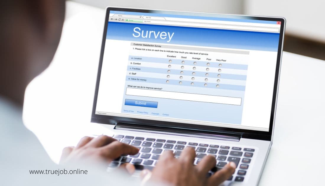 online survey